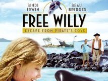 willy